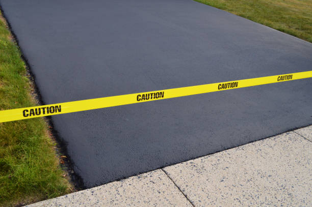 Best Asphalt Driveway Installation in Maroa, IL